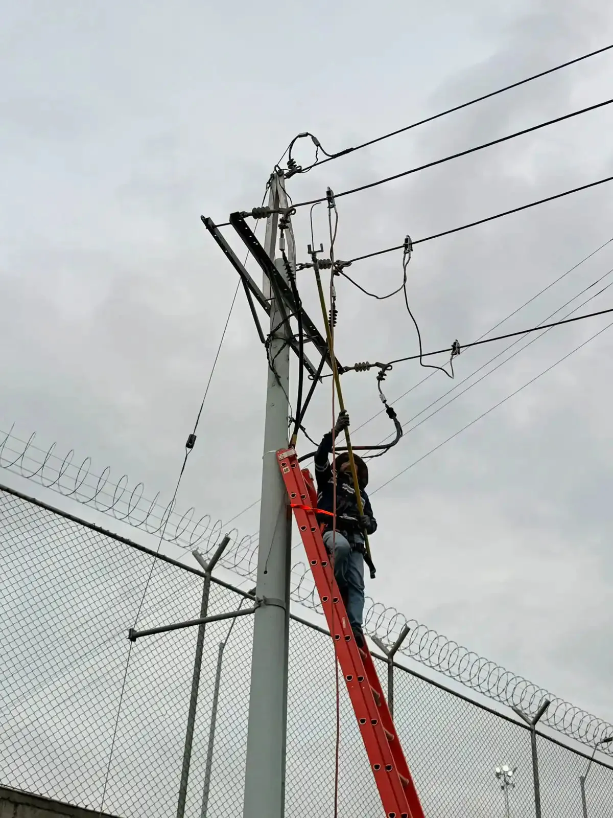 Técnico de Soditeel trabajando en lo alto de un poste de la red